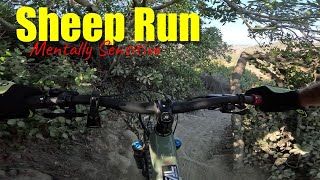 Sheep Run Laguna Beach Mountain Biking 2025