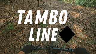 TECNICO CON MOLTE FOGLIE!! Tambo Line⚫ -...