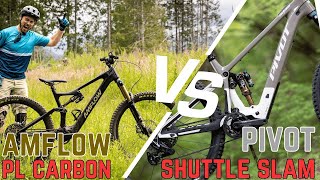 The disruptor vs the standard: Amflow PL...