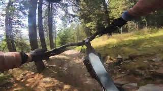 Brixen: Palm Pro Line