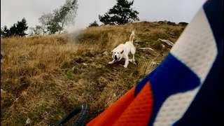 ⚡MTB al Colle Lazzarà...attenti al cane!!!
