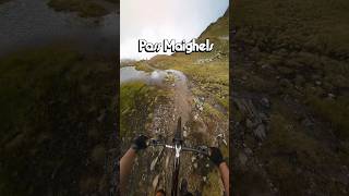 Pass Maighels @disentissedrun6901