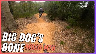 Big Dog's Bone | Mogo Mountain Bike Trails NSW...