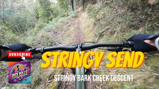 Stringy Bark Creek Descent ~ Meehan Range...