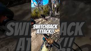 Chase on the NS Switchbacks  #tasmaniamtb...
