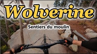 Wolverine - Sentiers du Moulin