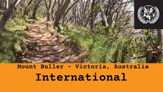Mount Buller - International
