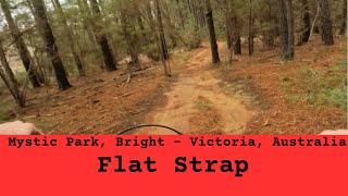 Mystic Park - Flat Strap #21