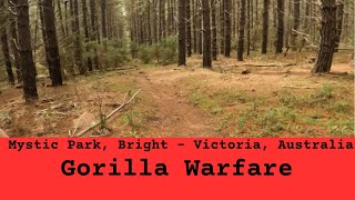 Mystic Park - Gorilla Warfare #23
