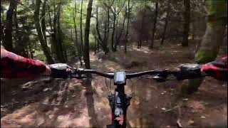Full Run Of Bone Yard At The Forest Of Dean.