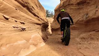 Mariposa Fat Bike Trails, Canyon