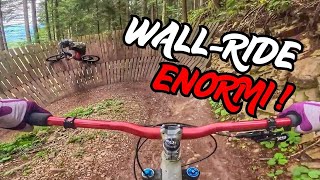 ti piacciono i WALLRIDE? ZANNA BIANCA -...