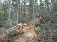 Late Fall Ride at Gun Lake