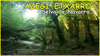 Azegi-Etxarro | Acabas en una selva ​ Living...