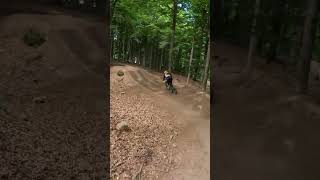 Froggy  - Amiata Freeride