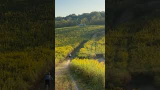 The Farm, BIG Drop @ Creekside Trails,...