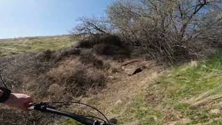 Evans uphill trail, freshly mowed!