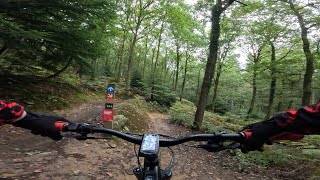 Dizzy's Descent At FOD... (part of The...