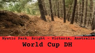 Mystic Park - World Cup DH #14