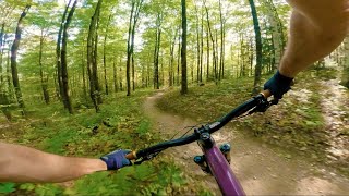 Evolution – Mad River Valley