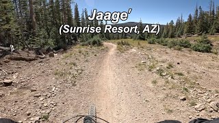 Sunrise Resort - Jaage' - Full Trail (Greer, AZ)