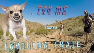Trail Hazards - Javelina Canyon PHX!!!