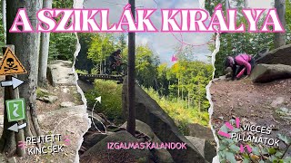 A sziklák királya - T-rys, a visszatérés....