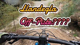 Llandegla Natural Selection (2025) the...