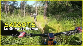 Saigots ​ La última trialera de Eremua |...