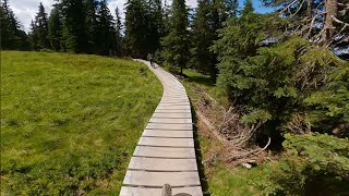 AlteSchmiede Trail - The Epic Bikepark Leogang