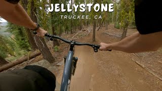Jellystone / California / MTB