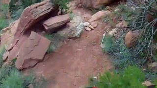 Red Hollow Trail Cedar City