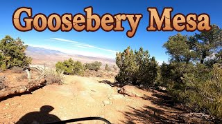 Gooseberry Mesa Slickrock Playground ...