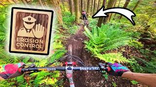 Trails Like  are Why Squamish is World-Famous