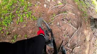 HAIDER ALM TRAIL  ⚫ | Reschenpass Enduro...