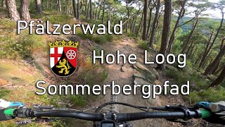 Let's Ride MTB - Pfalz // Hohe Loog -...