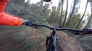 TRAIL LA CAROGNA - FOLIGNO MTB