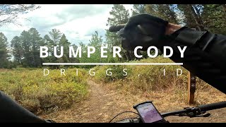 Bumper Cody Trail | Flow, Forest & a Bit...