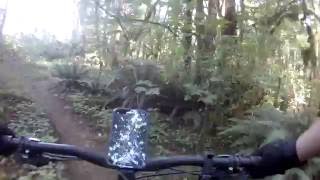 CFC West reverse Sept 4 2016