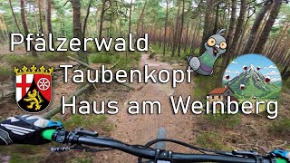 Let's Ride MTB - Pfalz // Taubenkopf &...