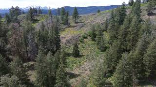 Buck Mountain from the Air, Mountain Biking...