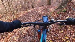 Singletrail Ruine Ägerten (Gurten)
