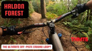 Is This The ULTIMATE Haldon Forest Off-Piste...
