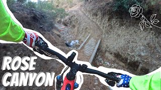 San Diego mountain bike trail review, Rose and...