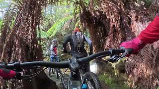 Blue Derby Mountain Biking Trails - Axehead