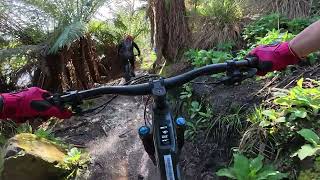 Blue Derby Mountain Biking Trails - Lake Derby...