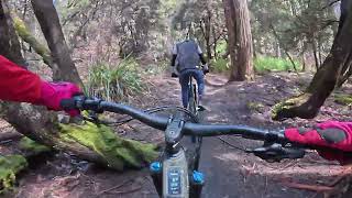 Blue Derby Mountain Biking Trails - Long...