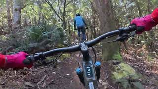 Blue Derby Mountain Biking Trails - Atlas into...