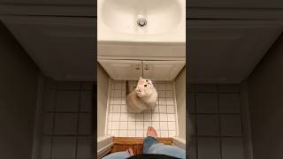 “This Abu Dhabi Female Companion...