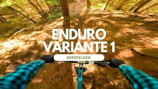 Enduro Variante 1 Bikepark Beerfelden Trail...